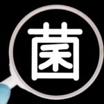 ニキビ悪化の原因になる細菌を知ろう【細菌がニキビを炎症させ膿の原因になる】