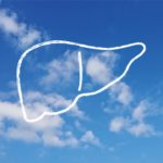 肝臓の不調がニキビの原因になる?!【ニキビと内臓の関係】